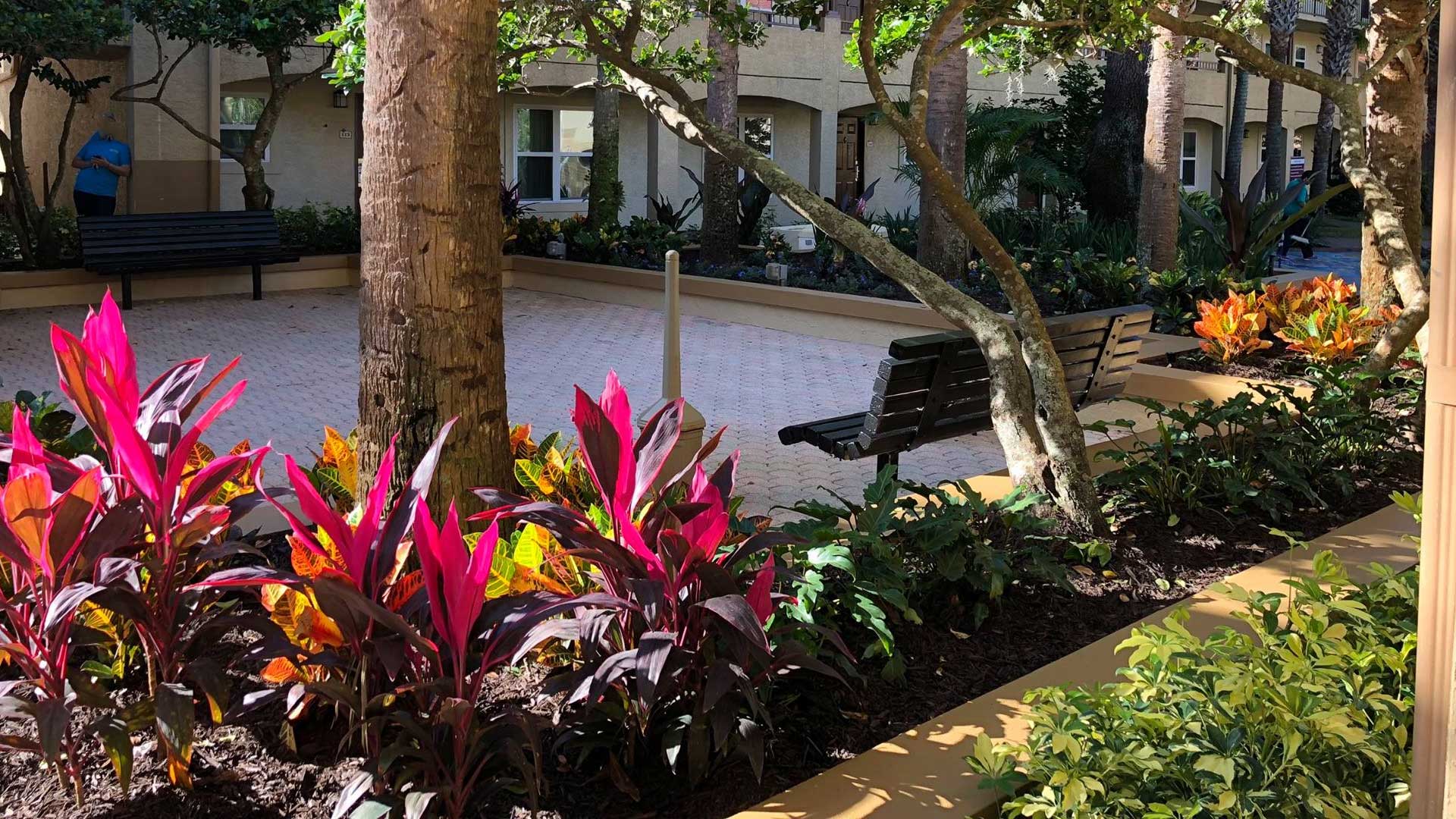 Apartment complex landscaping in Orlando, FL.