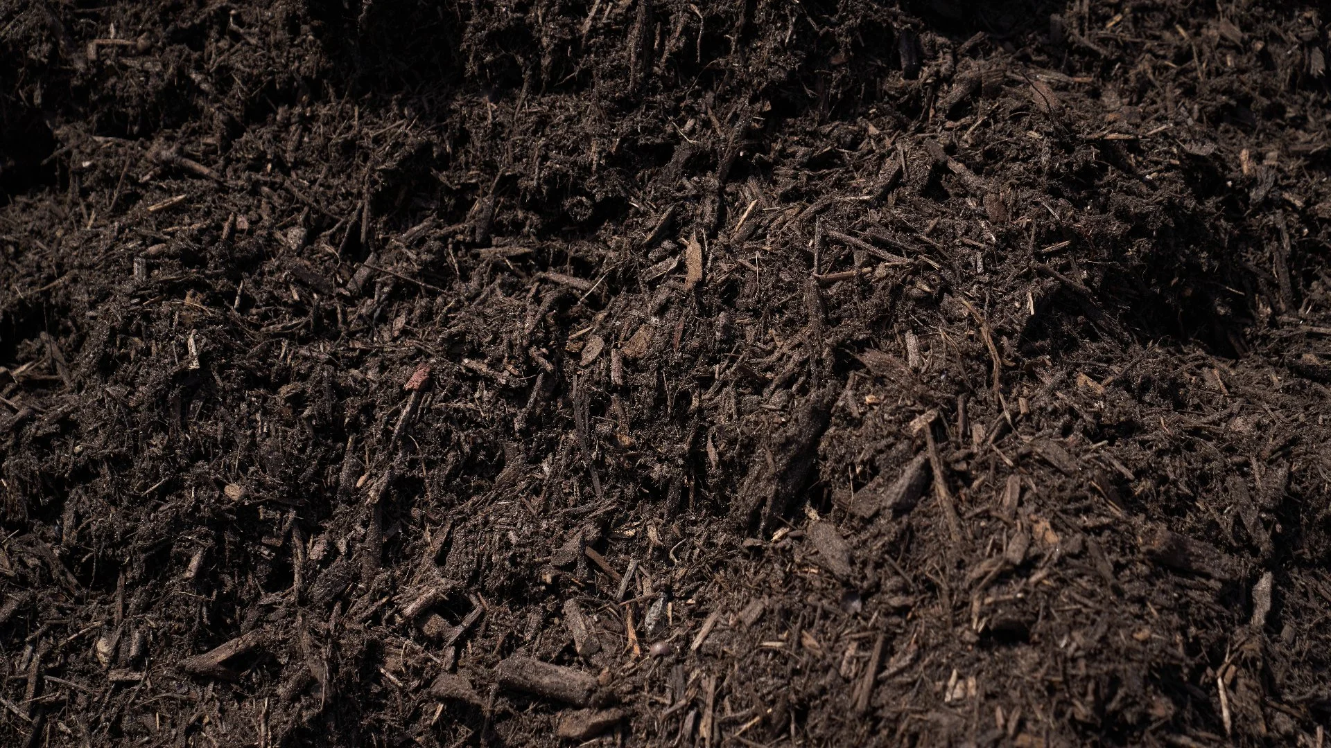 Should You Get Mulch or Rocks for Your Landscape?
