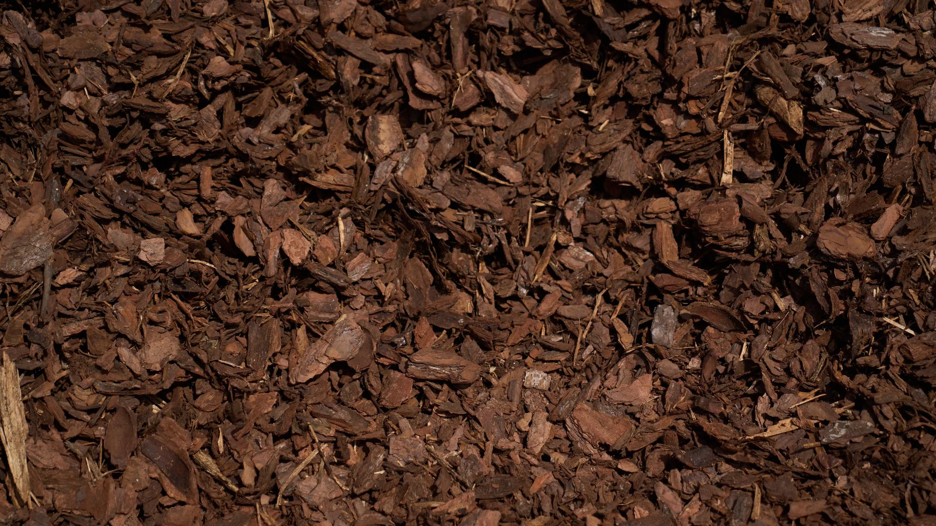 Does Mulch Help Plants Stay Healthy?