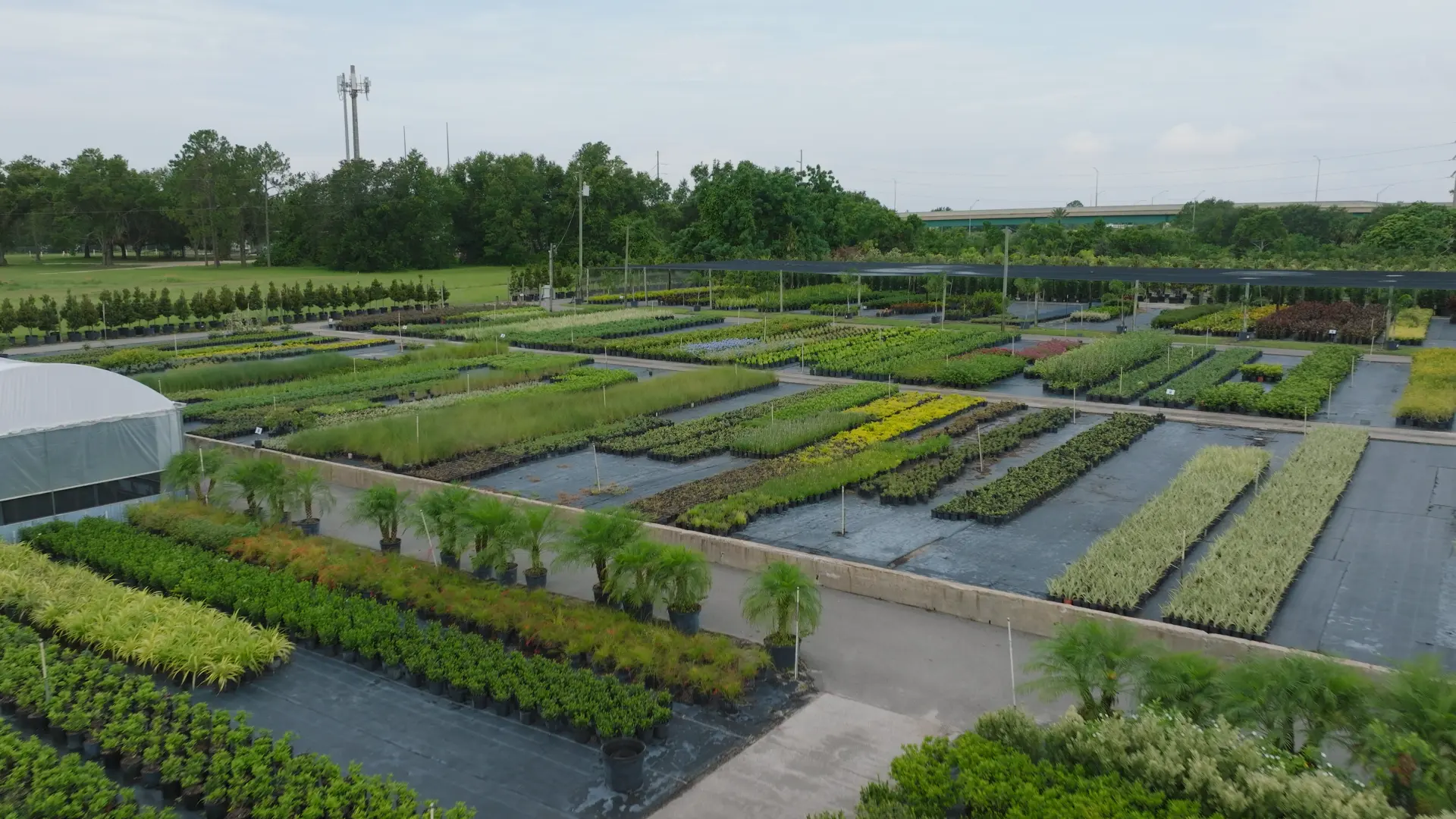What's the Difference Between a Nursery & a Greenhouse?
