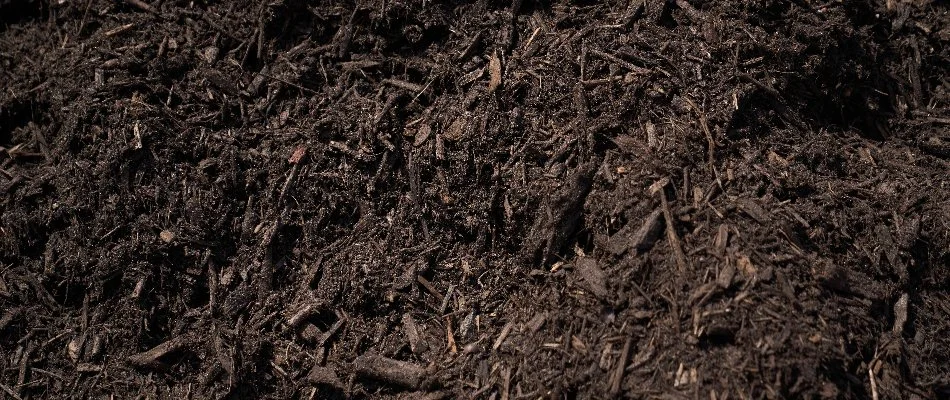 Chocolate shredded mulch in Orlando, FL.