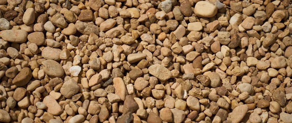 Light-colored rocks in Orlando, FL, for landscape ground cover.