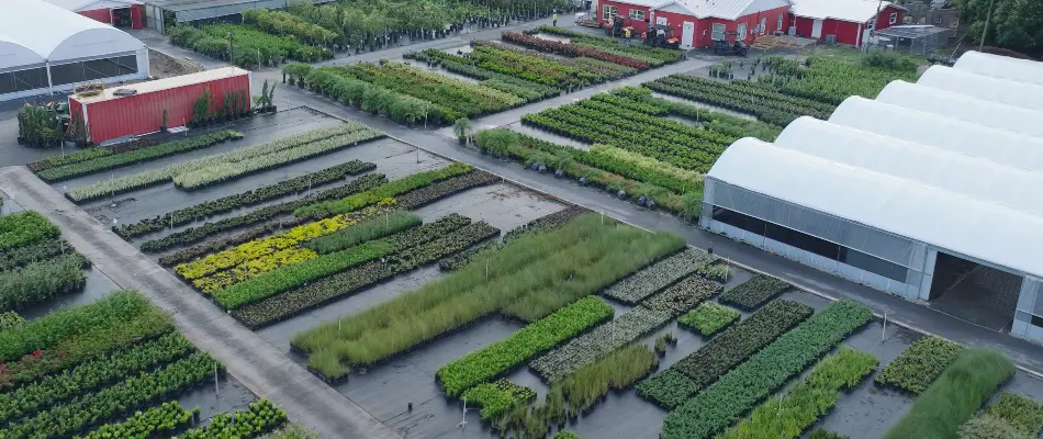 Plant offerings at a nursery in Orlando, FL.