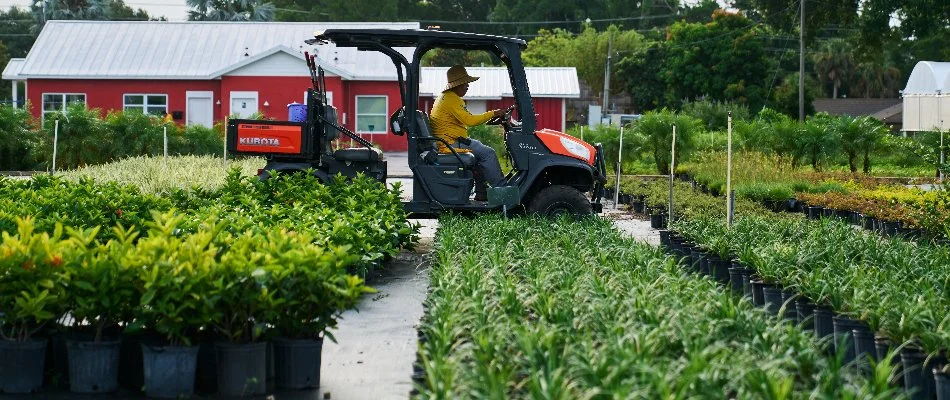 Potted plants and nursery staff in Orlando, FL, on a utility vehicle.