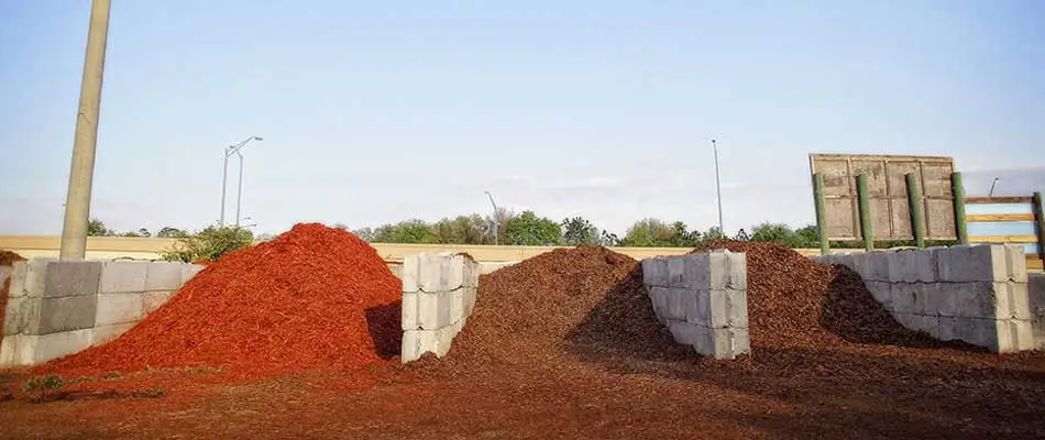 Our bulk mulch available for landscape companies to come to our nursery close to Orlando to pick up.