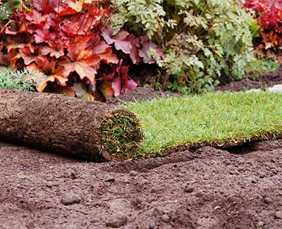 Calculate how much sod to order from Royal Landscape Nursery in Orlando.