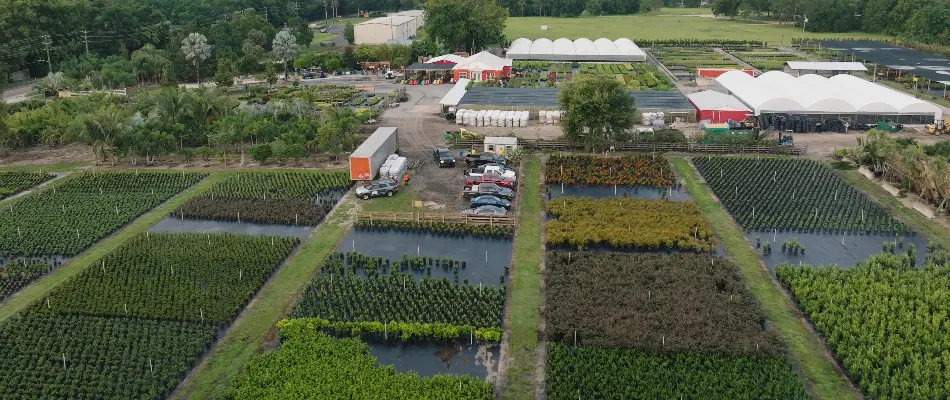 Landscape nursery in Gotha, FL.