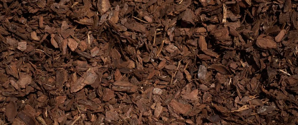 Brown mulch in Miramar, FL.