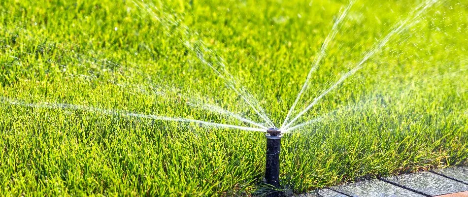 Lawn in Miami, FL, with a sprinkler irrigation system.