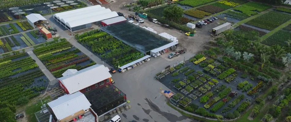 Aerial photo of nursery in Gotha, FL.