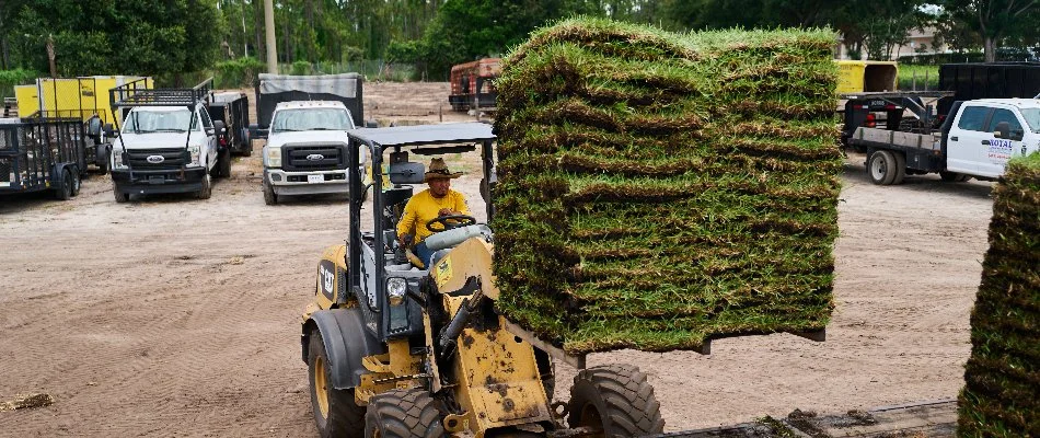 Worker loading sod on truck in Jacksonville, FL.