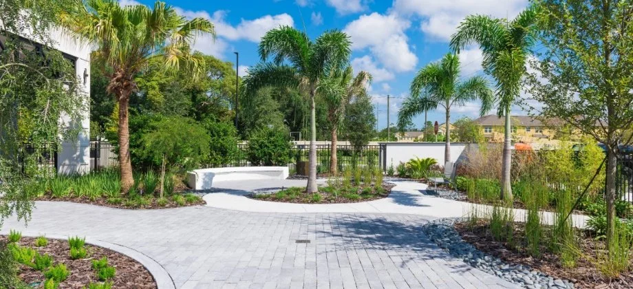 Property with palm trees in Orlando, FL.