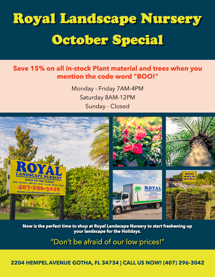 2021 October Special!
