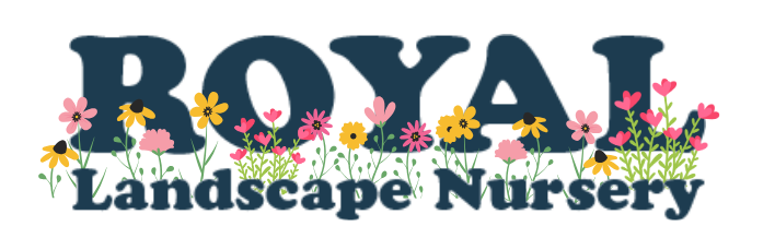 Royal Landscape Nursery Logo