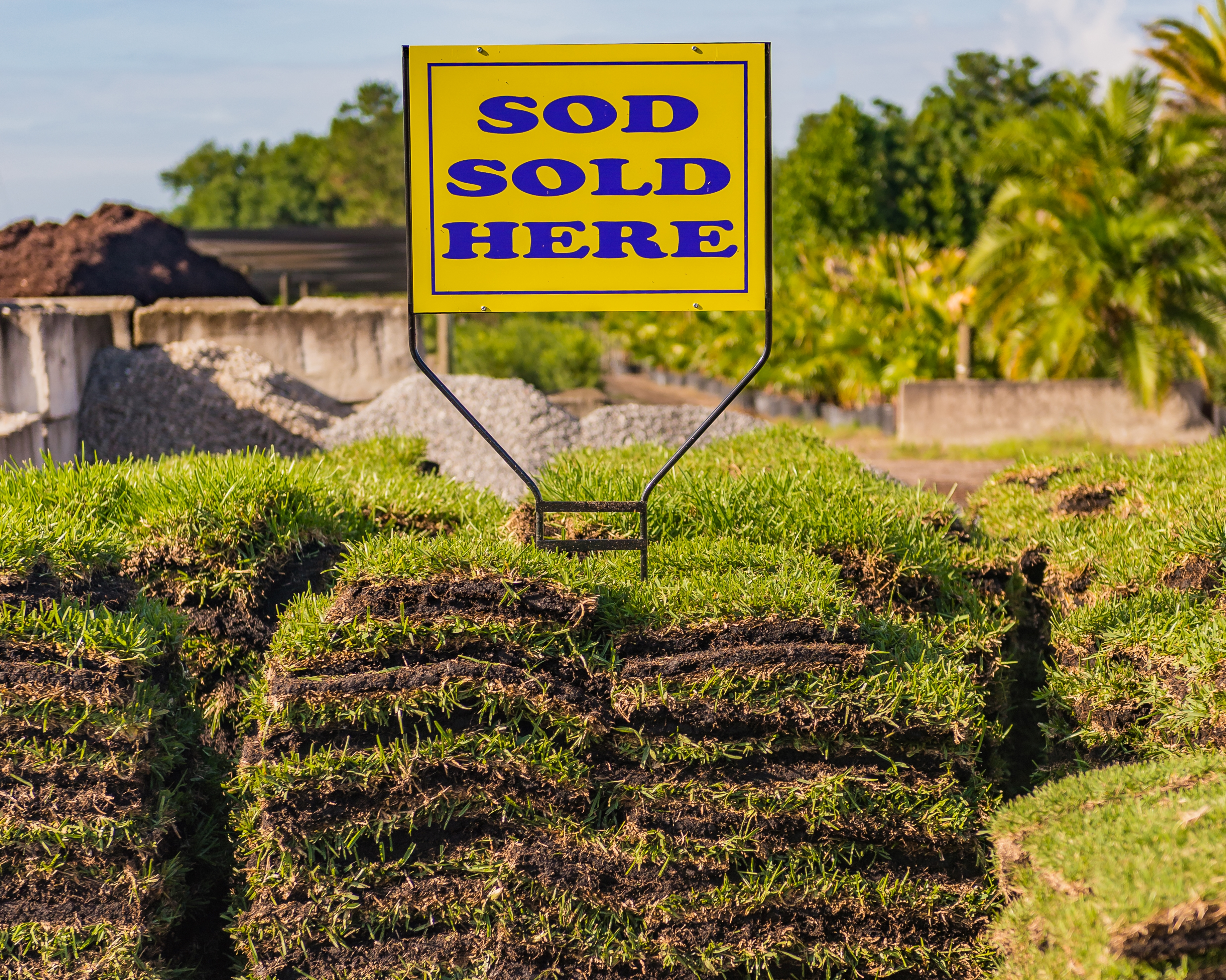 At our nursery, we offer fresh green sod for cities such as Orlando, The Villages, Clermont, and more.